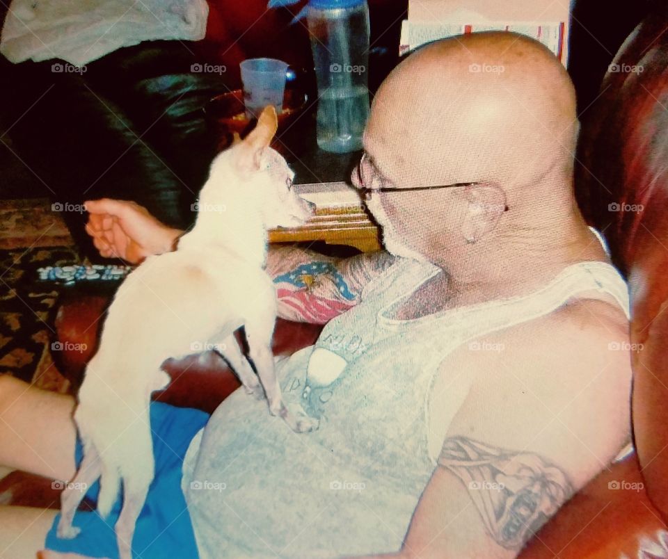 Man talking to toy chiuawaha standing on his lap.