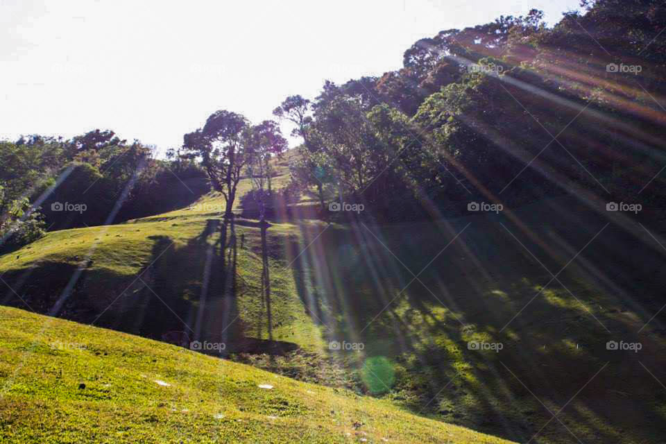 last summer up to hill mountain.