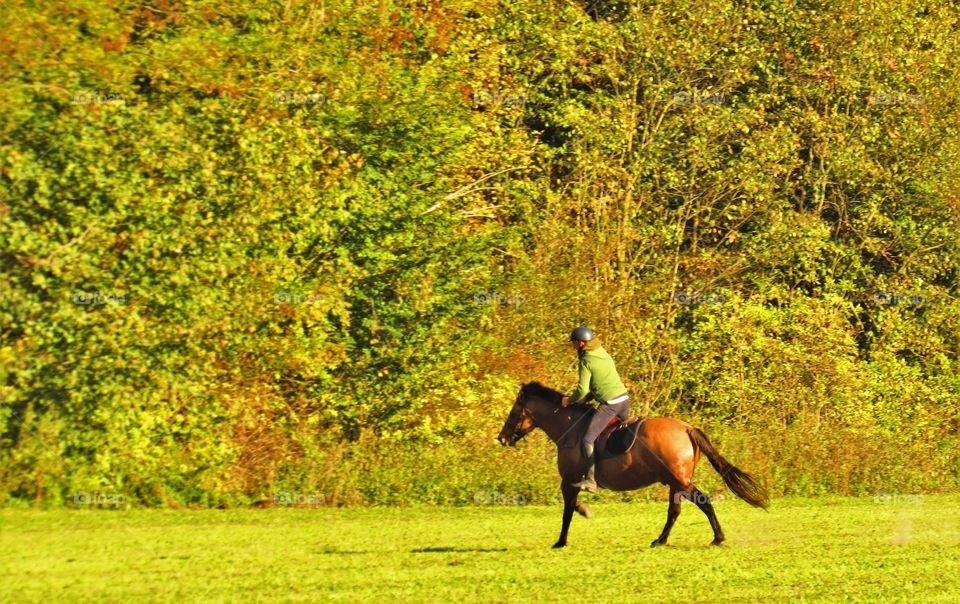 Horseriding