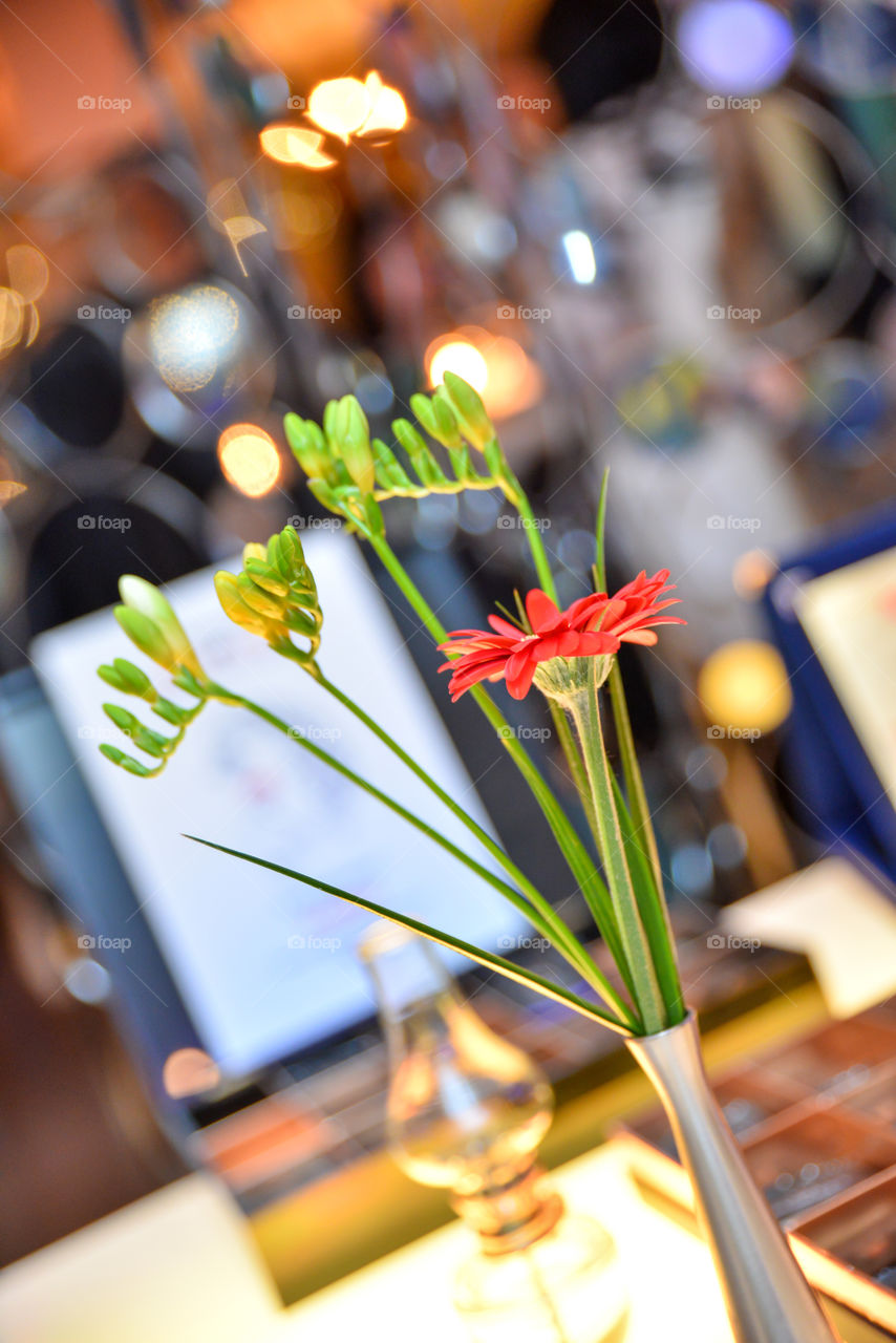 Flowers in a vase