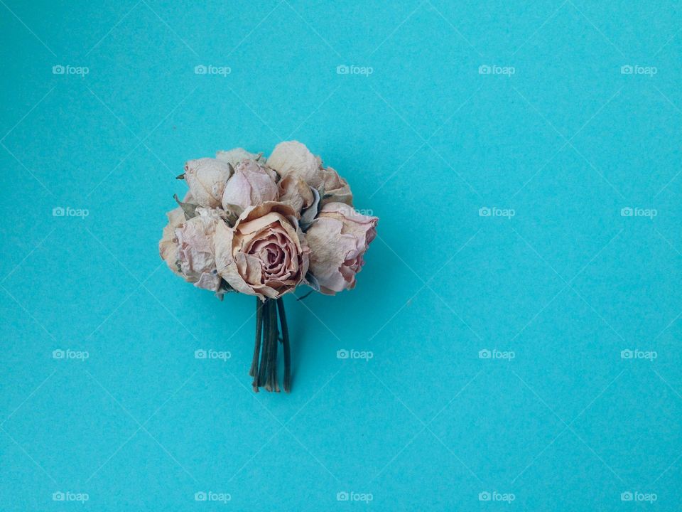 Bouquet of light pink mini roses on blue background 