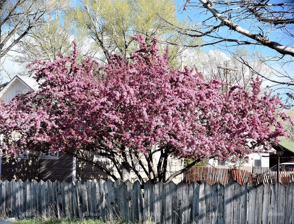 Spring Has Sprung in Saratoga!