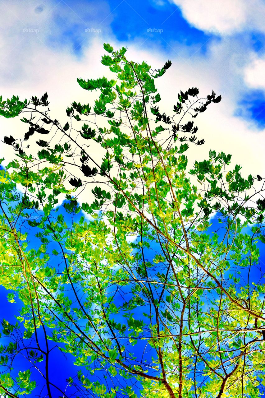 First sign of spring 