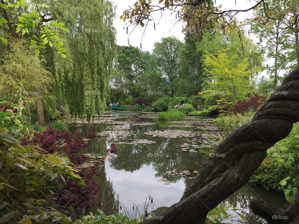 Claude Monet's Gardens 
