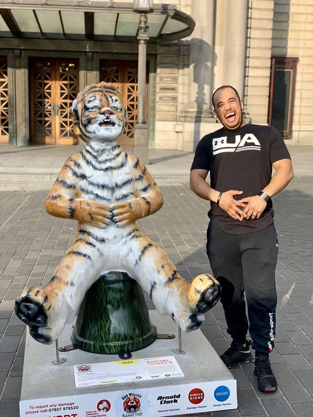Tiger laughter 