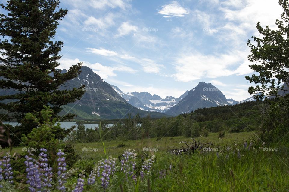 Gorgeous nature (Mission)