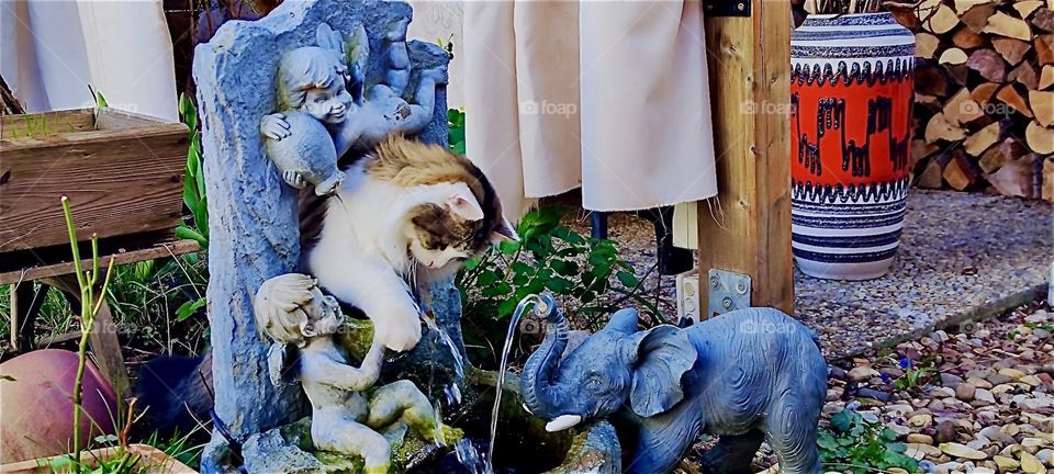 It is an invitation to play for “Linda”, the cat in “Bavaria”, Germany: a small fountain with an angel and an elephant sculpture, running water and a hole in the wall behind it for her to stick her head through to explore. 2024. Hypnotic Productions