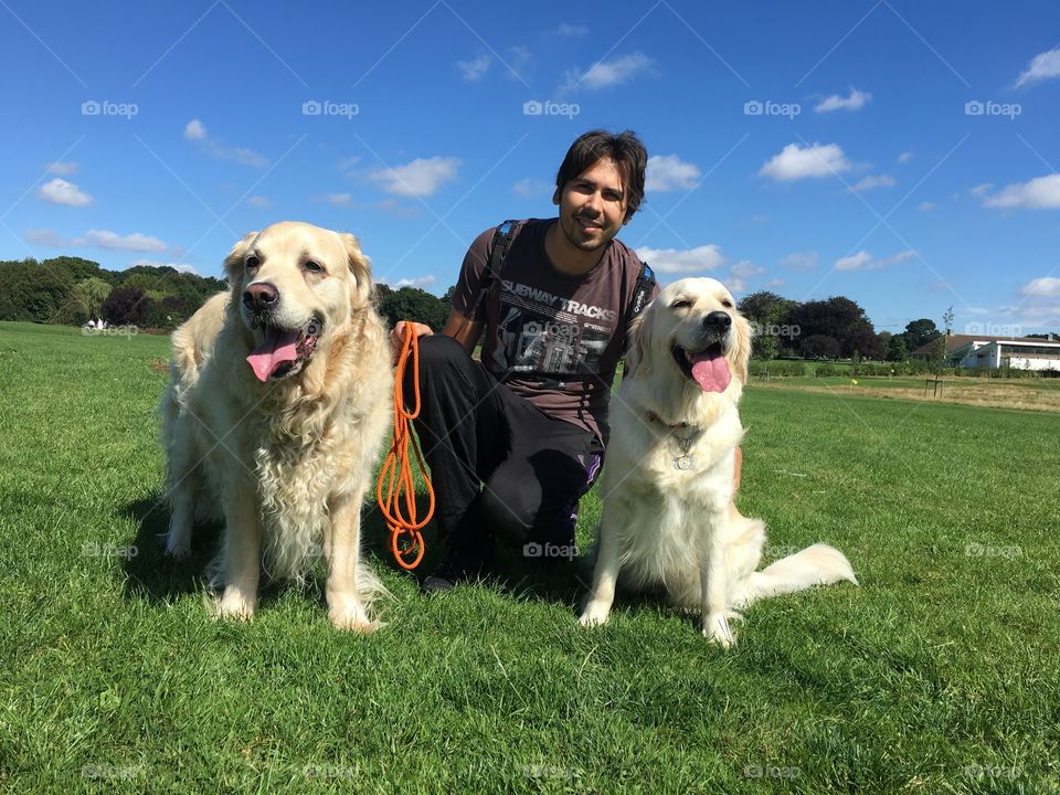 Dog, Pet, Grass, Canine, Mammal