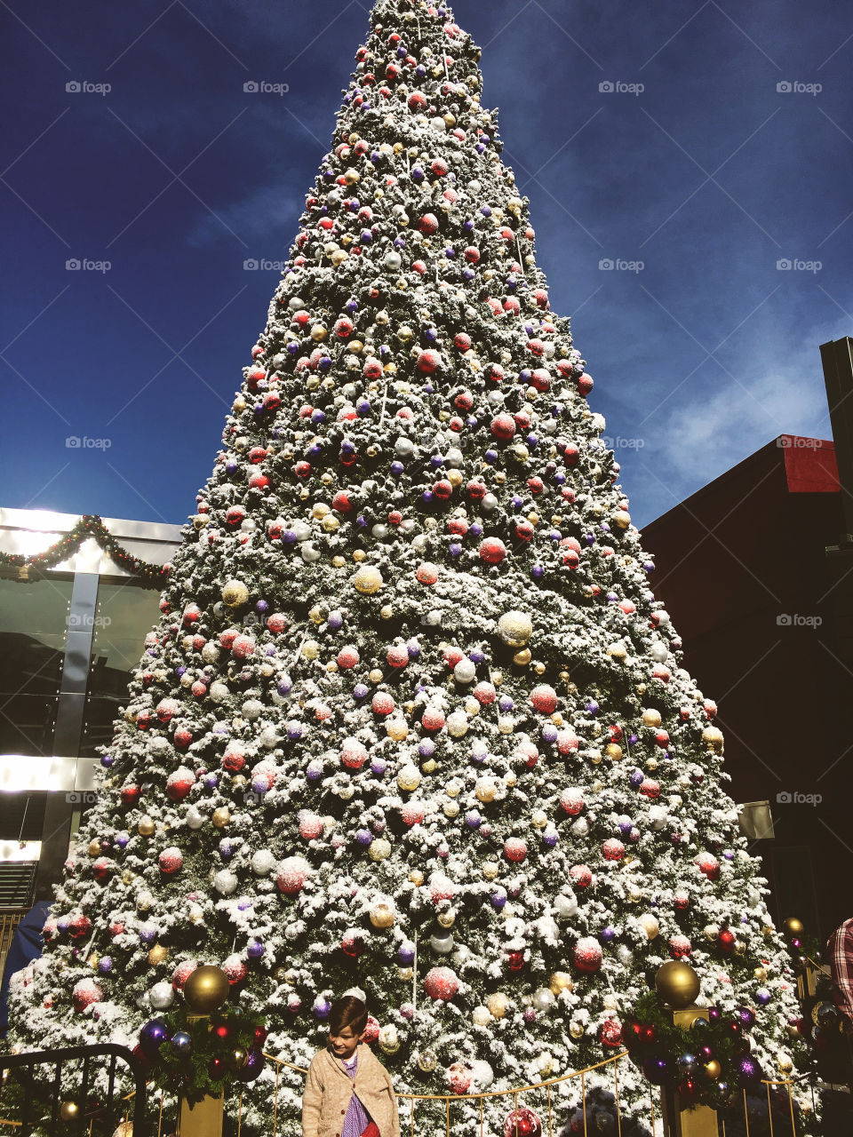 Oh Christmas Tree; Universal Studios Hollywood 