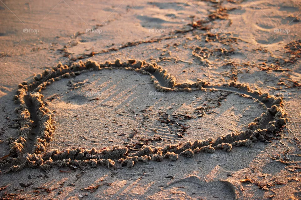 sea heart