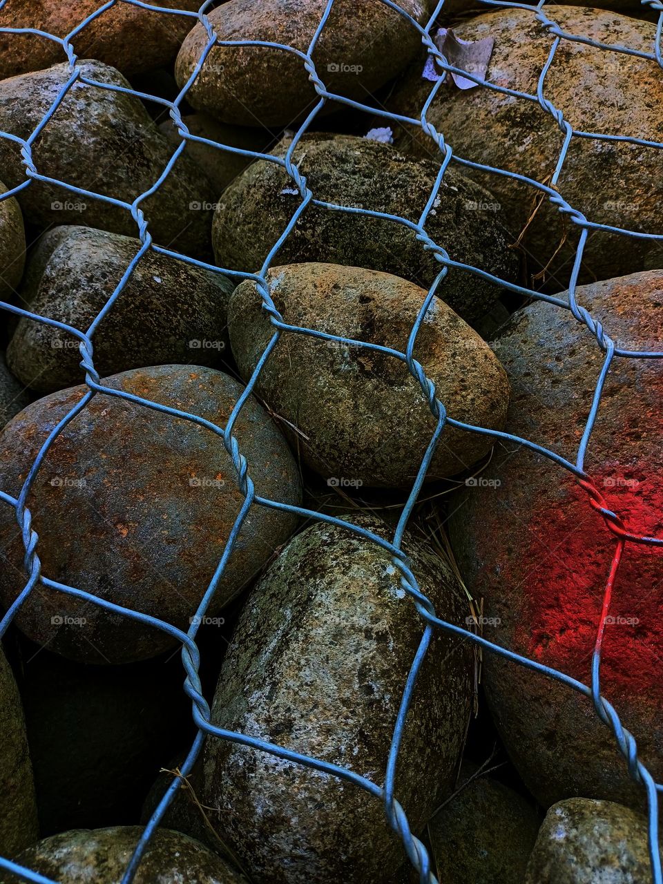 Rocks behind wire fence. round stones 
laid in gabion. Background or texture. Stone wall The photo shows a wall that isconstructed of river stones.