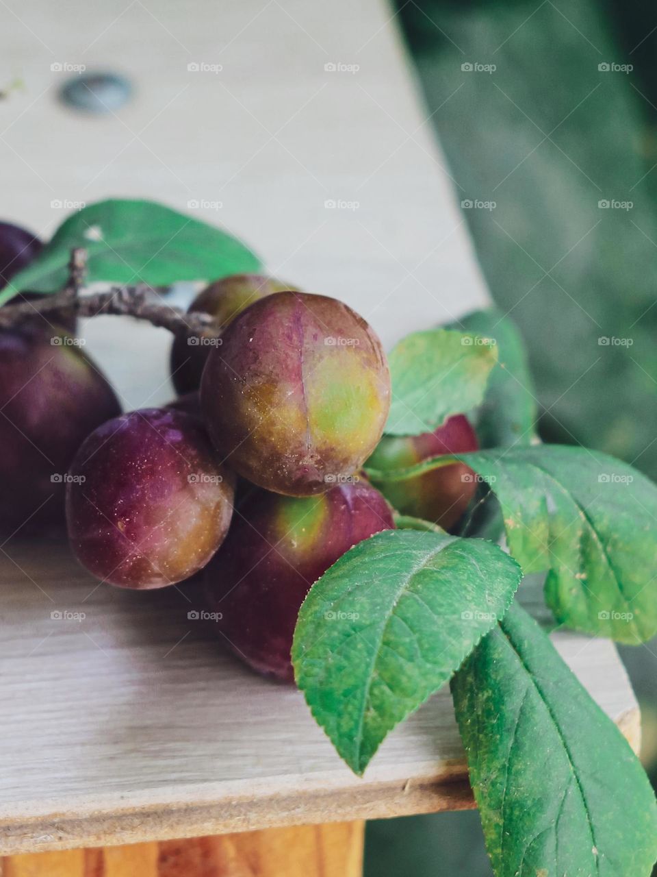 Fresh plum on the table