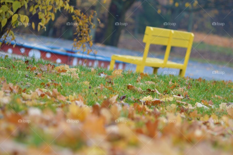 yellow bench in park