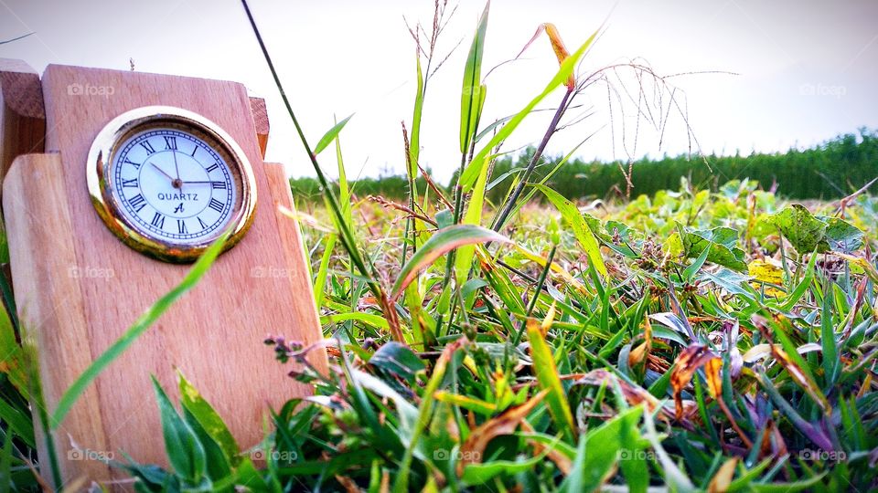 A beautiful wooden clock on a field with full of green grass.
