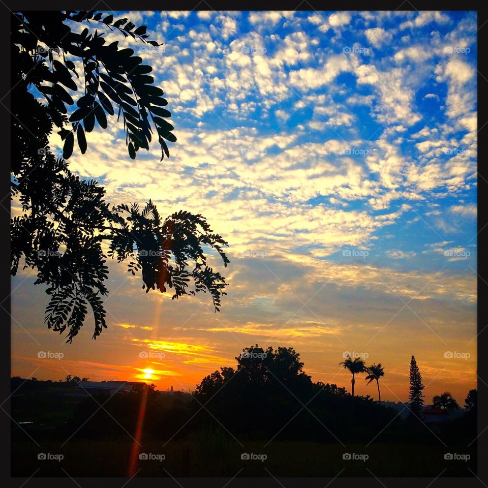 🎨 Cores belíssimas do #amanhecer dominical. 
Como a #natureza pode ser tão generosa em suas pinturas gratuitas?
🌅
#fotografia #domingo #paisagem #inspiração #silhueta #céu #sol #sky #morning #landscapes