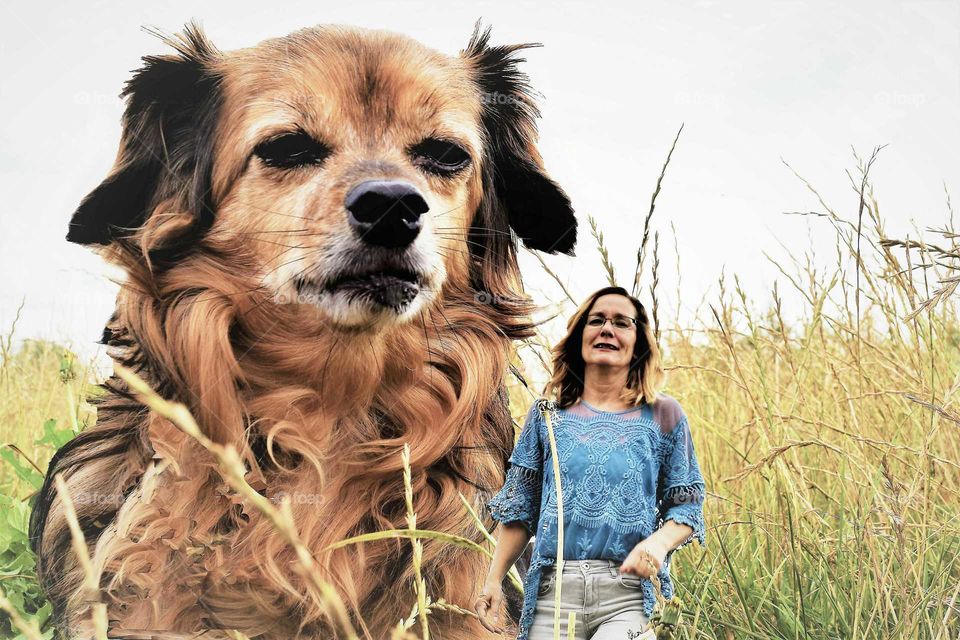 small woman with huge chihuahua x dachshund dog behind her standing in a field