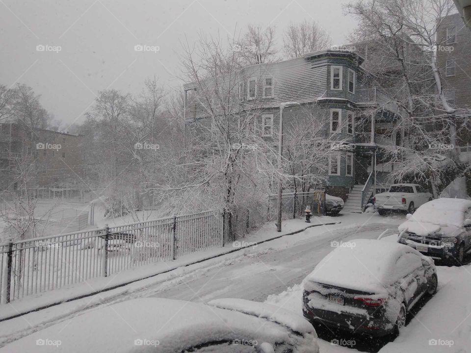 A big snowstorm hit Boston in March in 2018. Everything is white.