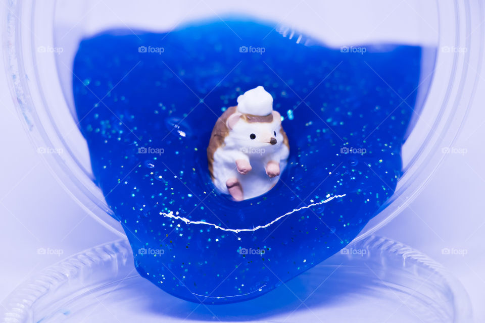 Miniature porcupine is playing the water and fun in clear blue slime