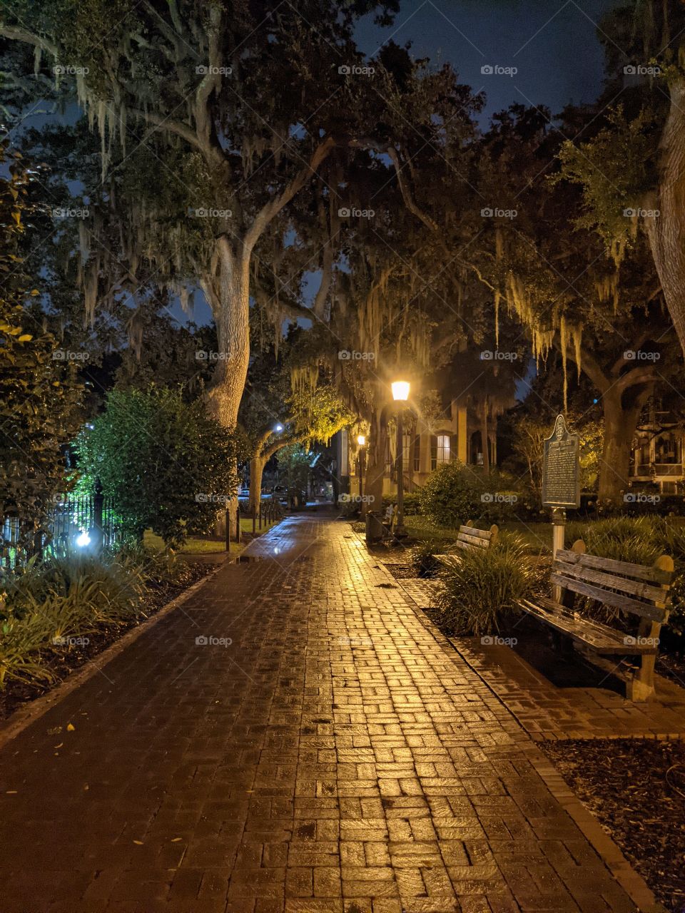 night time in Savannah