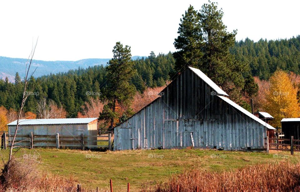 Barn 