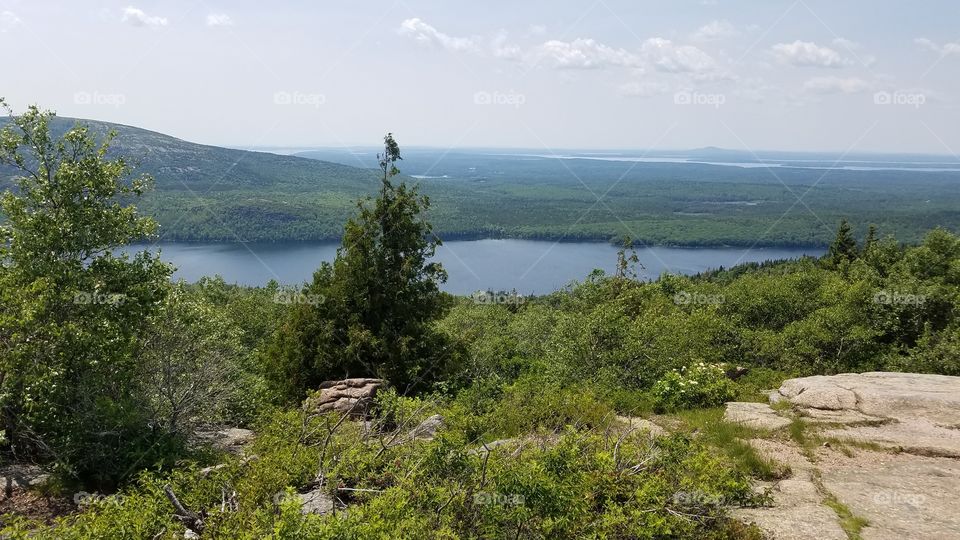 Acadia water view