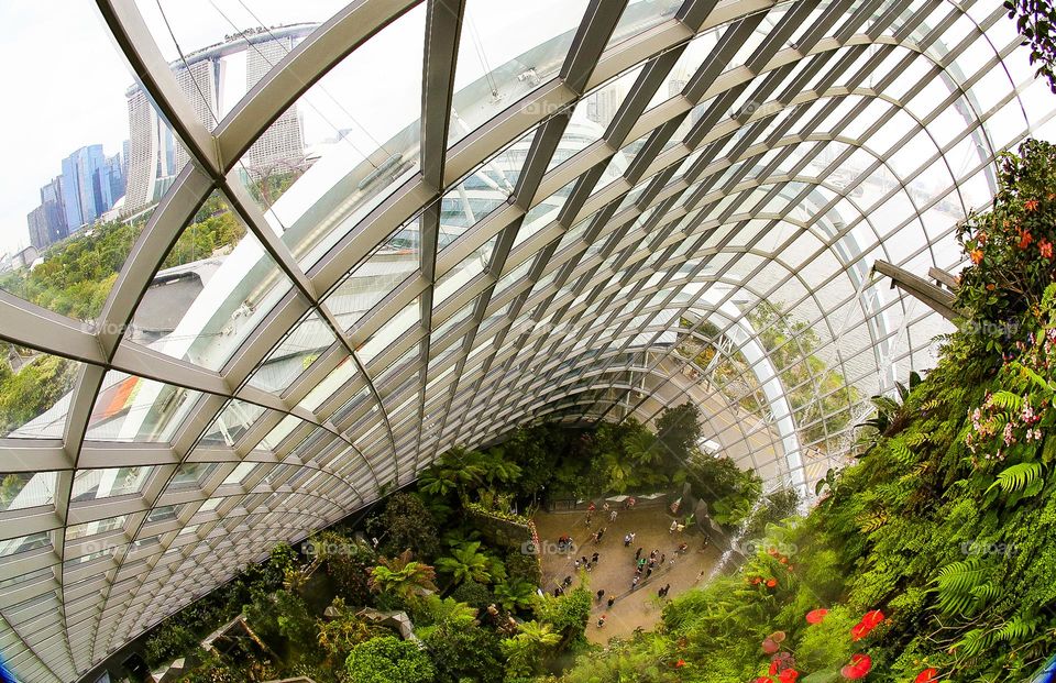 Perspective view of giant indoor garden