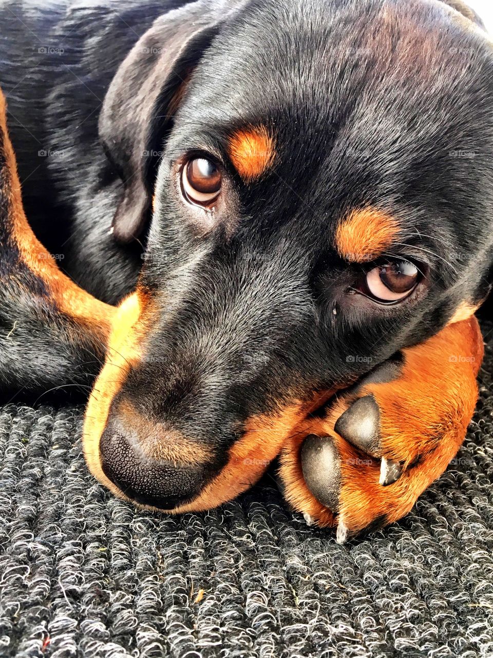 It's been a long day and I'm sooooo tired, but still can't take my eyes off you. 