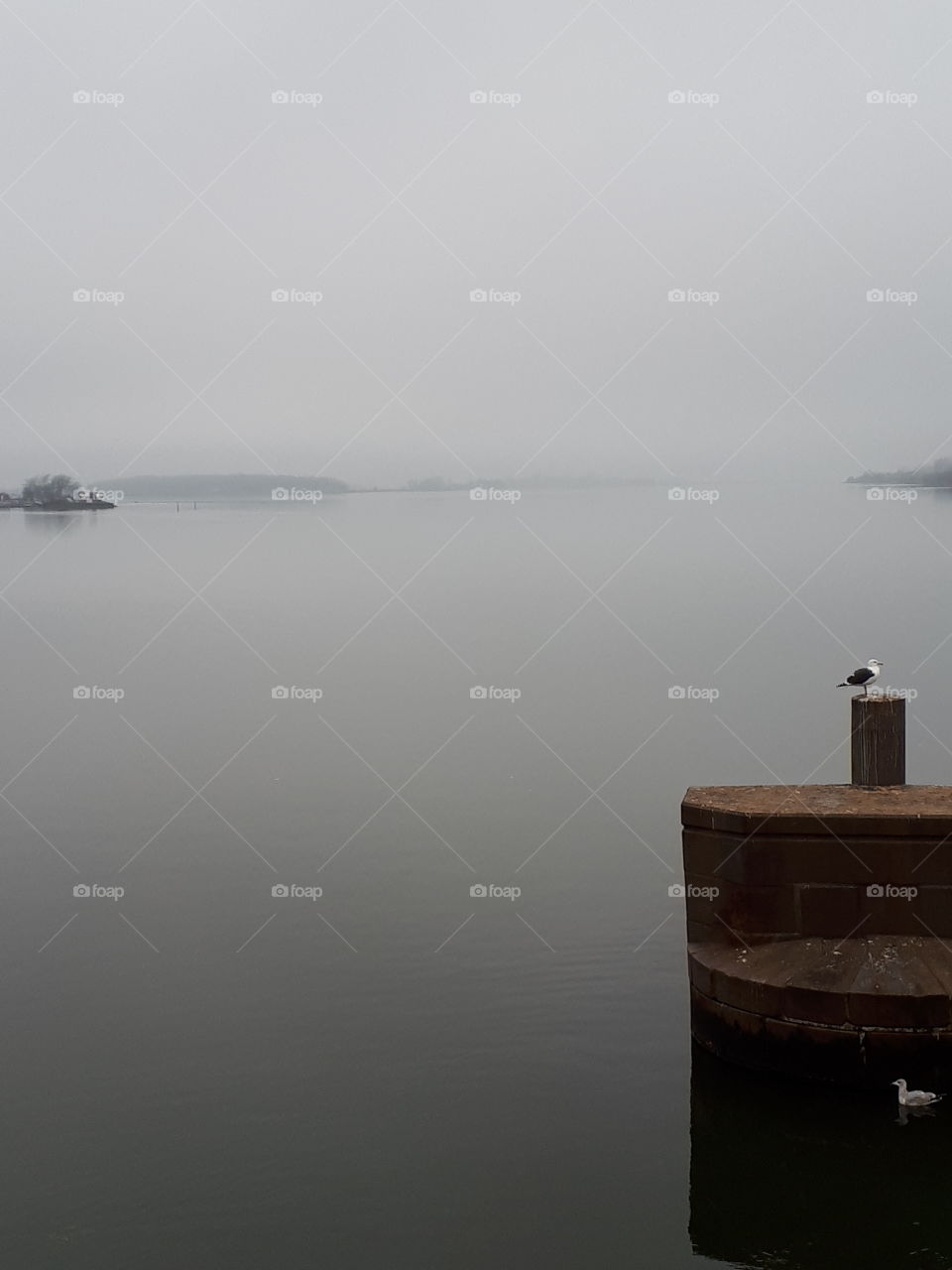 tåge - landskab - bropiller  - vand - horisont