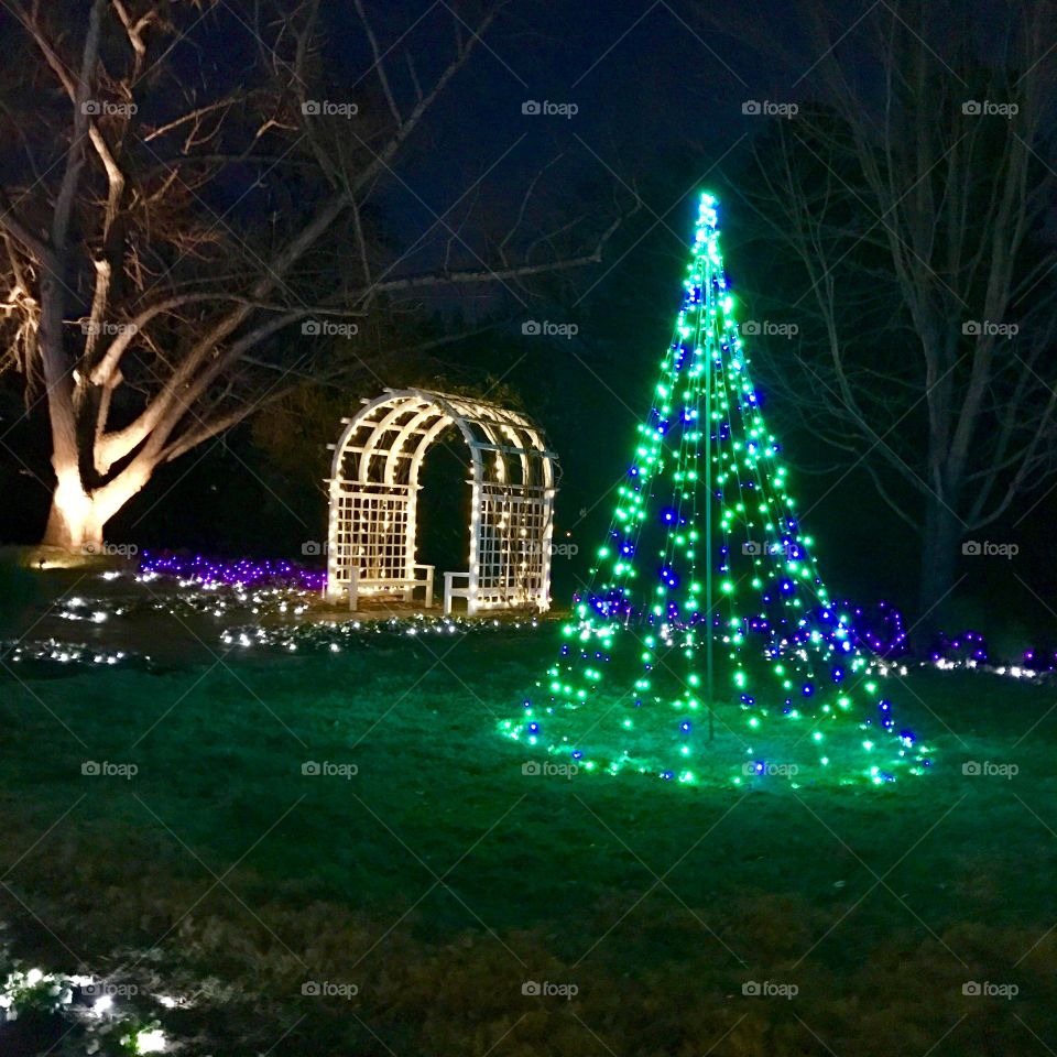 Gazebo & Christmas Tree