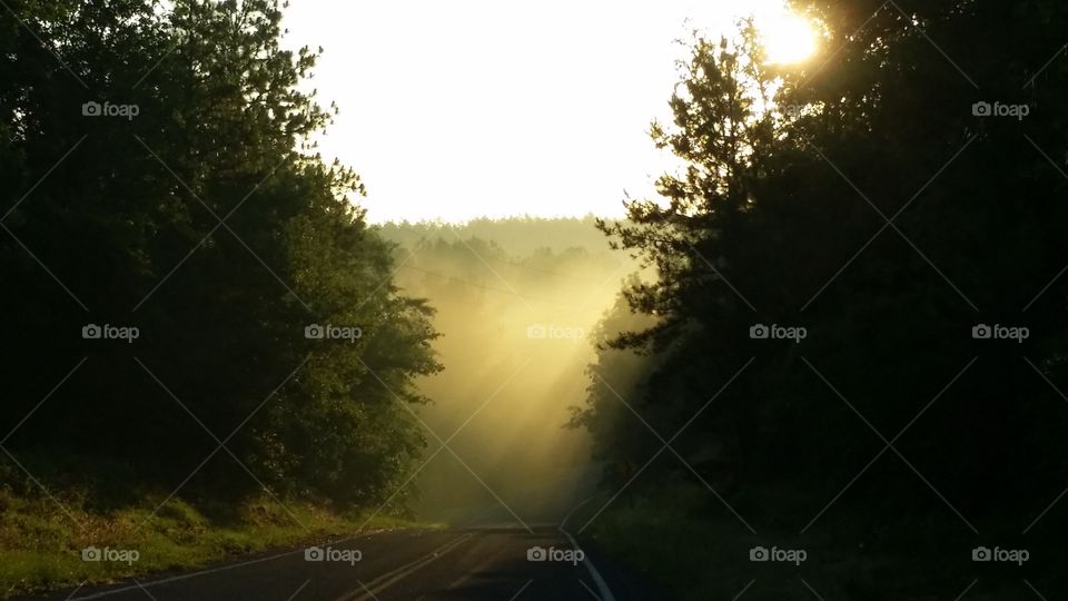 Foggy road. Another instance of being in the right place at the right time.