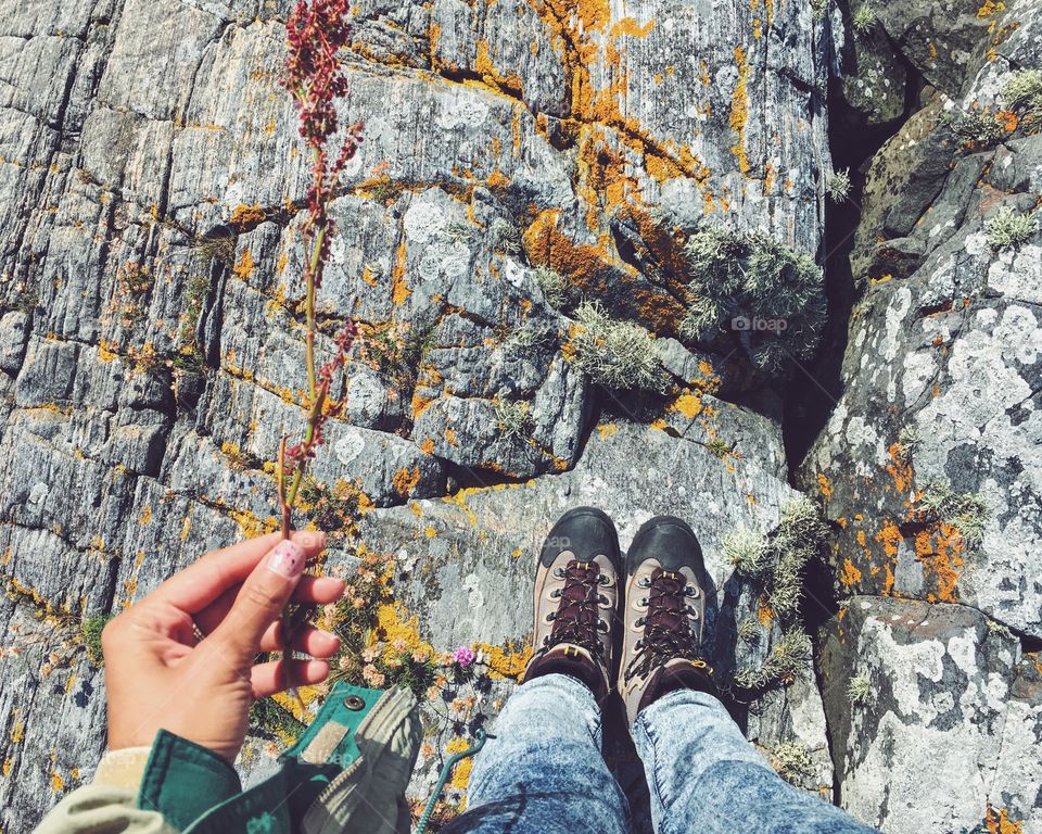 People, Outdoors, Nature, Tree, Climb