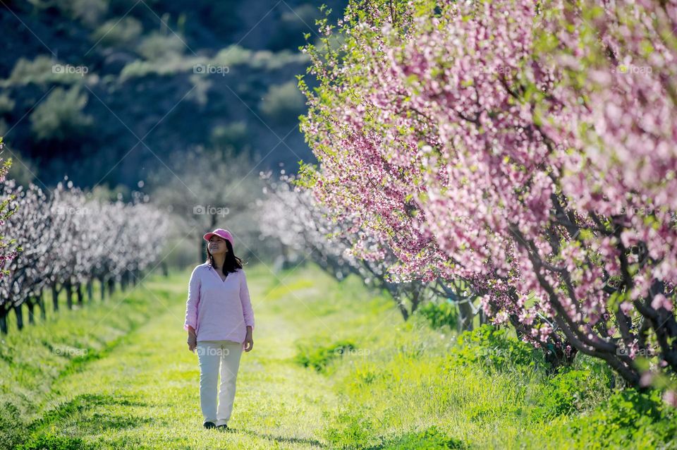 Woman enjoying the beauty of peach and peach blossoms at spring time 