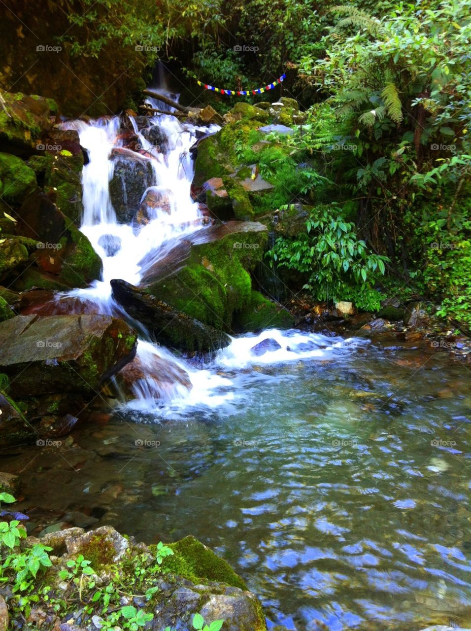 Just let your love flow like a mountain stream. And let your love grow.