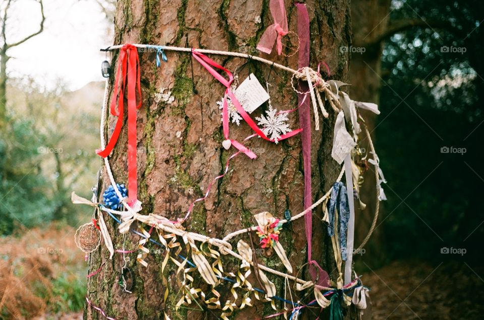 A decorated tree! 