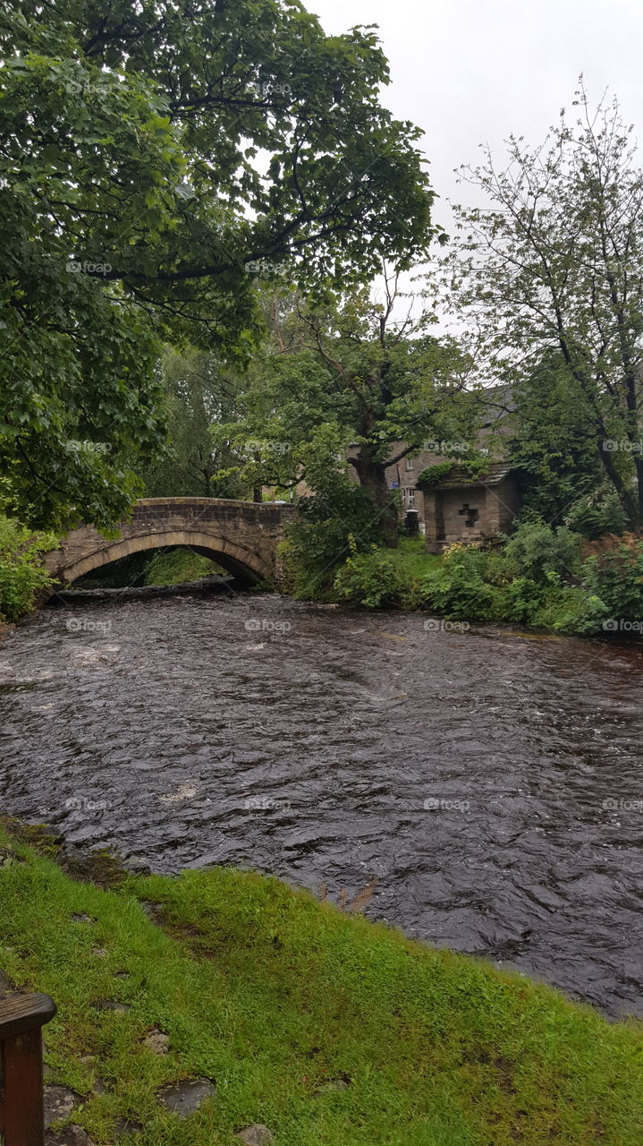 bridge and river