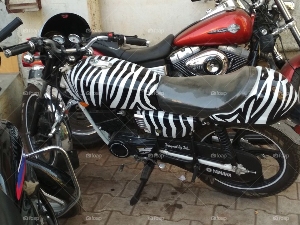zebra print bike