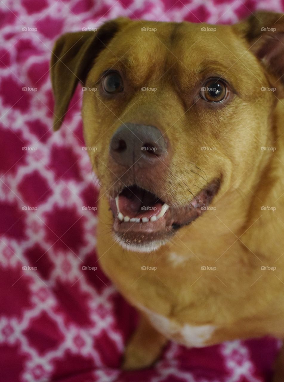 Waiting For A Snack!