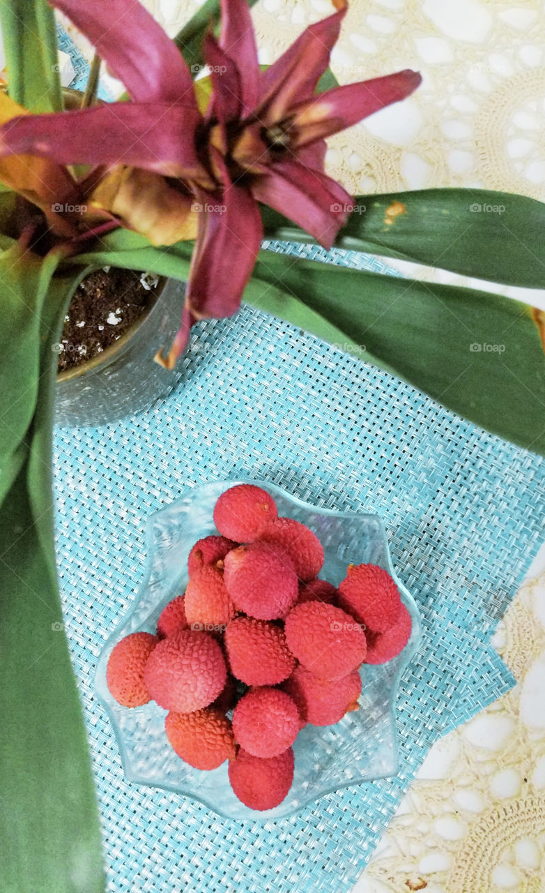 lychee with succulent