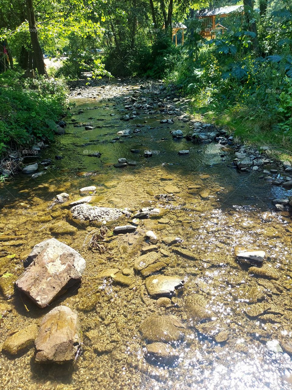 Carpathian Mountains. Nature of Ukraine. Mountain river