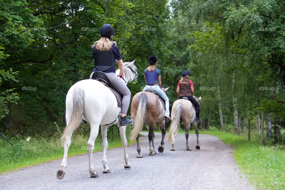 Summer with horses . Horse riding in the summer 