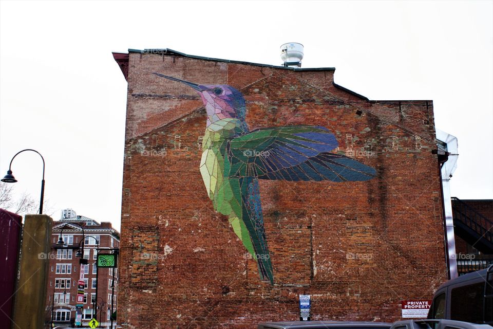 Hummingbird street art on side of old building