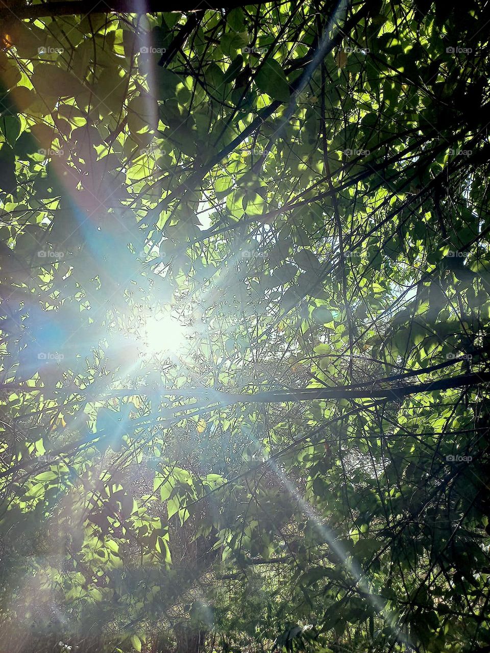 " Light... I love nature ♡ Freedom is feeling true peace!!!