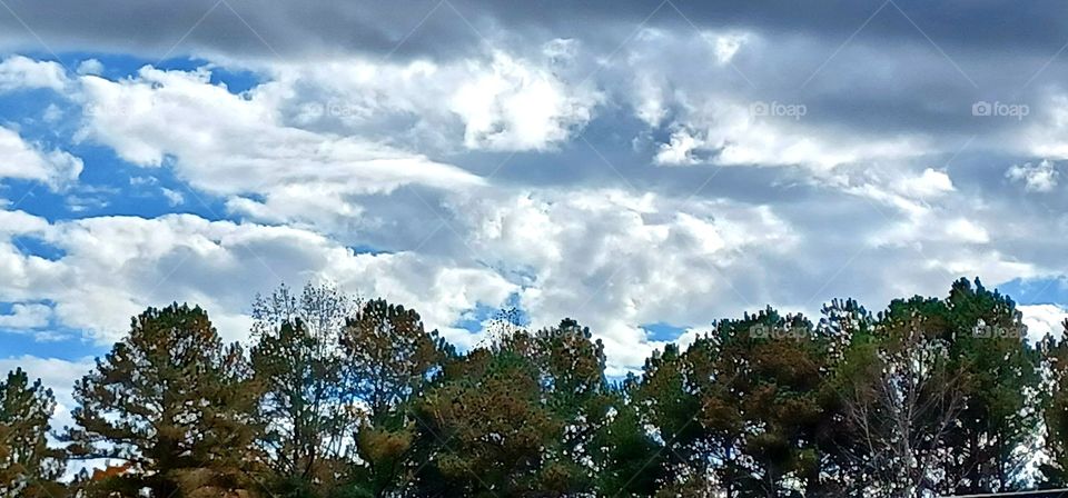 Autumn Sky in the South