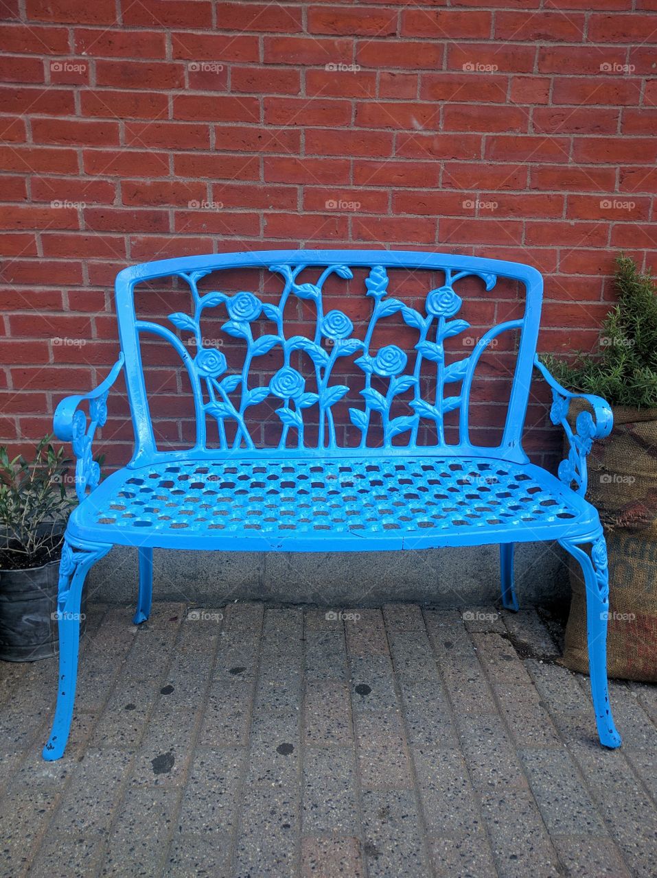 Blue Bench