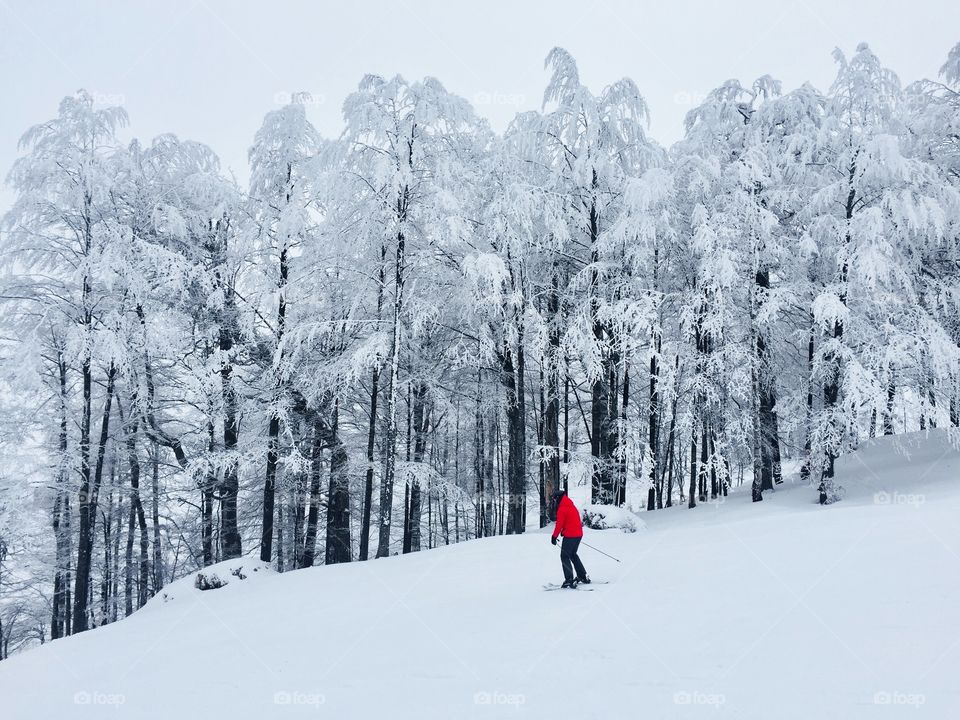 Skier in red jacket on the slope surrounded by forest of trees covered in snow