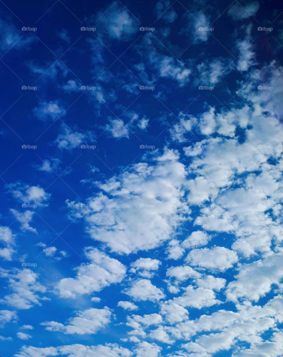 Sky in little sheep water in tubs.
