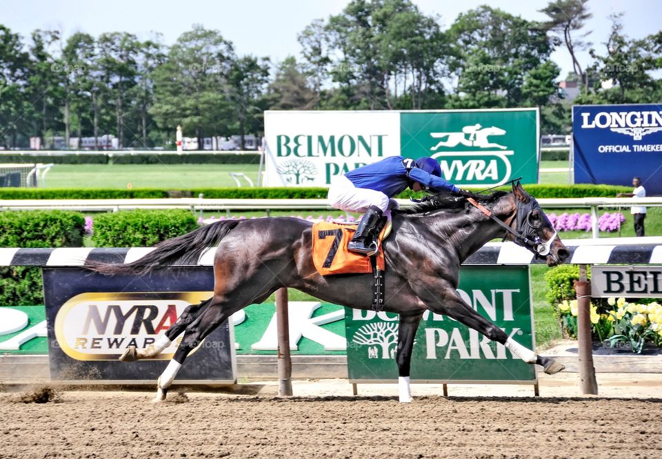 Alex Solis. Alex Solis is fully extended as his horse is in full stride taking a sprint race at Belmont Park. 
Zazzle.com/Fleetphoto