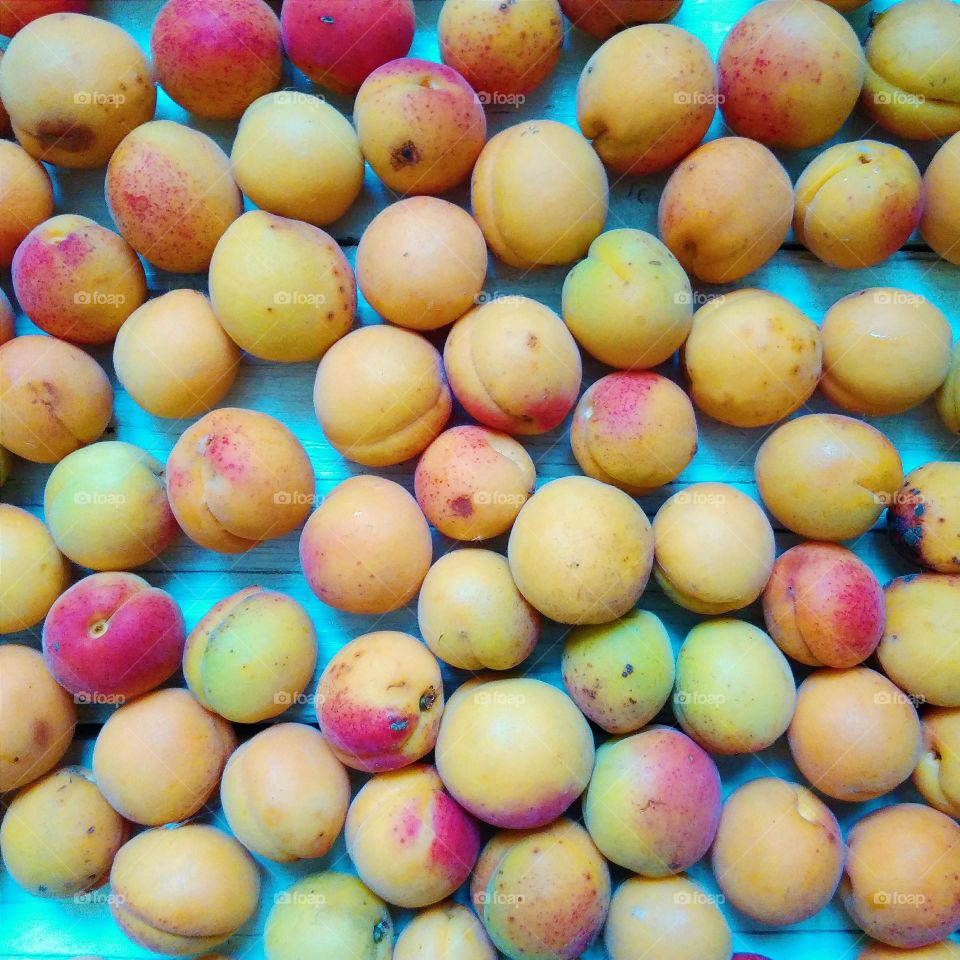 Apricots