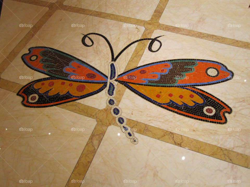butterfly insect floor bug by majamaki