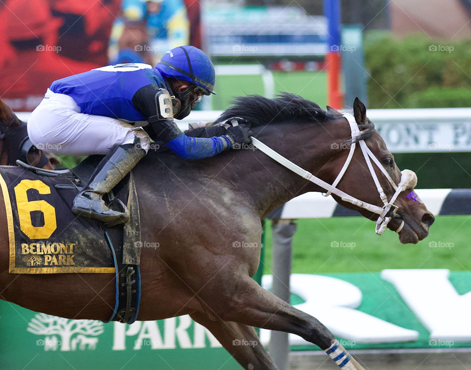 Collegeville  Girl wins the Iroquois stakes at Belmont by Fleetphoto.net